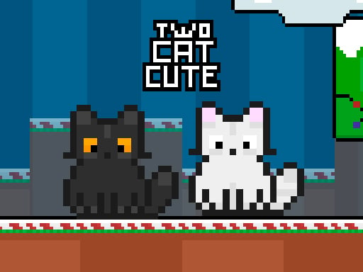 Two Cat Cute Images